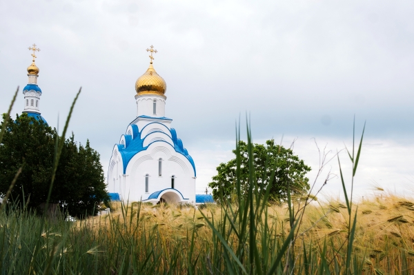Митрополит Иларион: Церковь в России живет по общим для всех законам 
