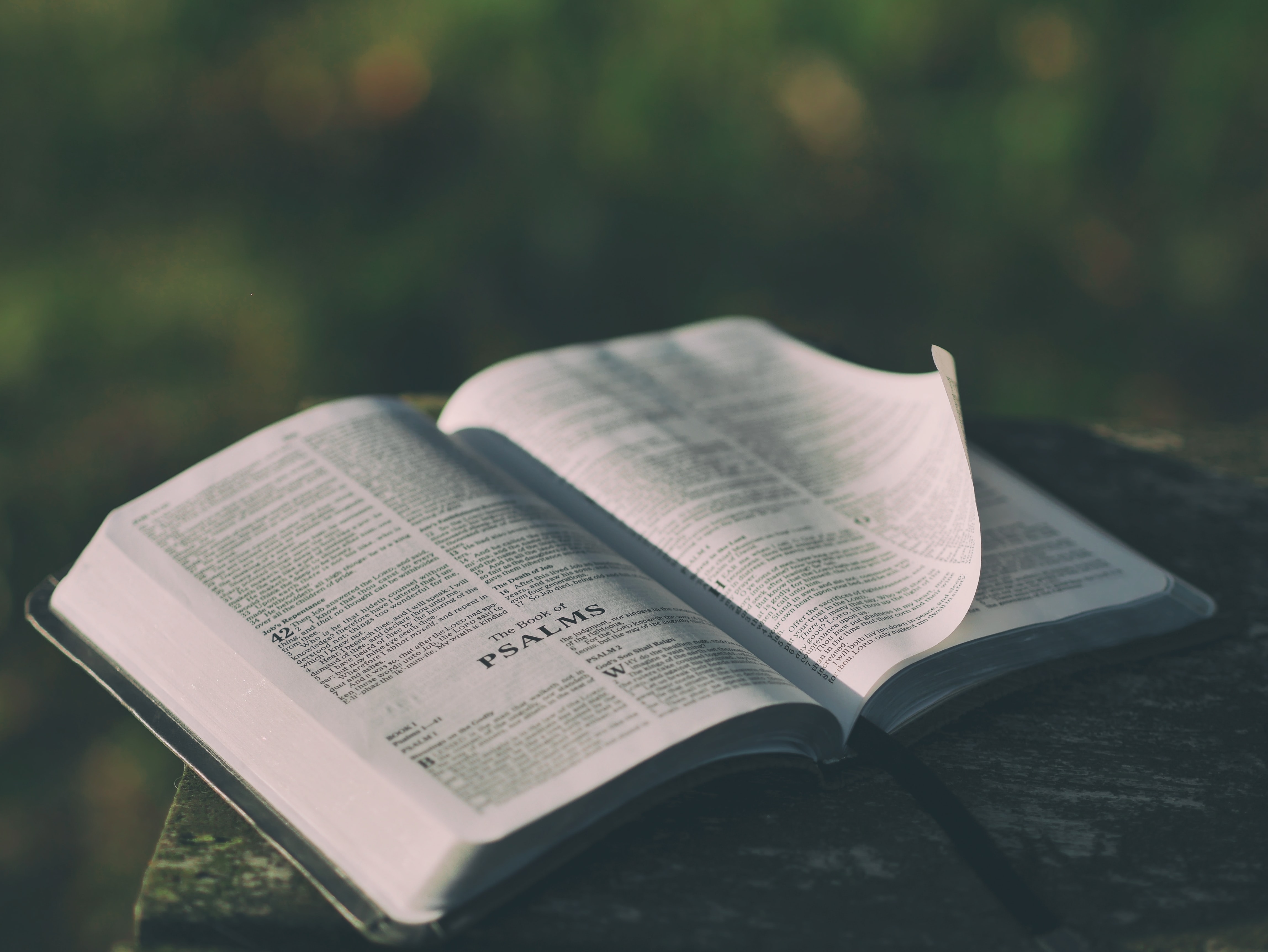 Почему в Псалтири 5 книг 