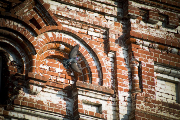 Стена храма Рождества Пресвятой Богородицы