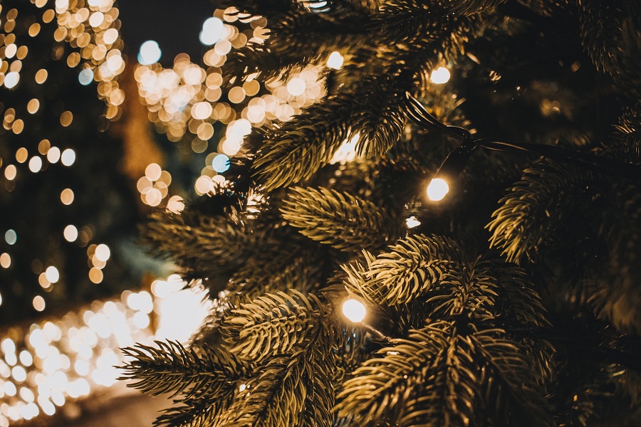 Когда появилась Рождественская елка? 